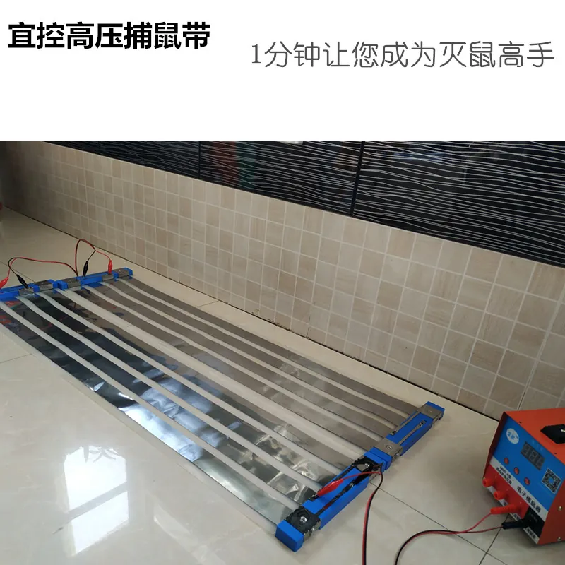 捕鼠带布放方法
